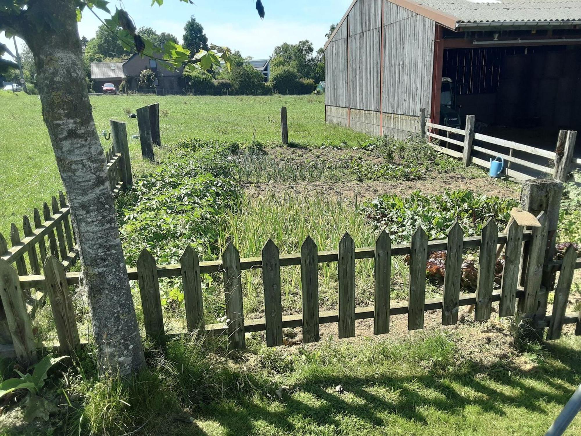 Pretty Farmhouse In Houffalize With Courtyard 外观 照片