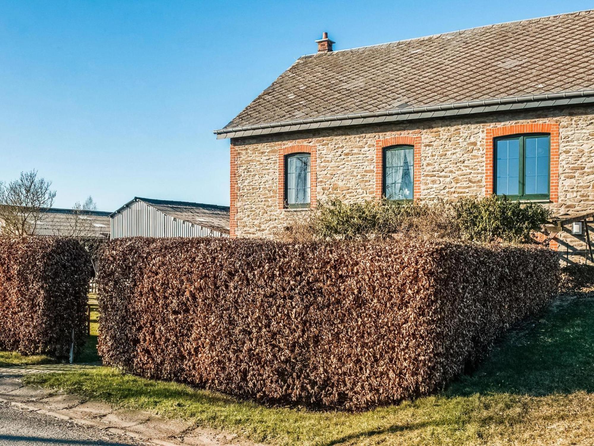 Pretty Farmhouse In Houffalize With Courtyard 外观 照片